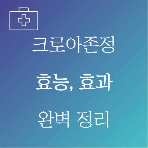 크로아존정