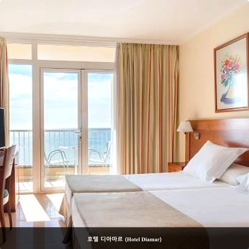호텔 디아마르 (Hotel Diamar)_2