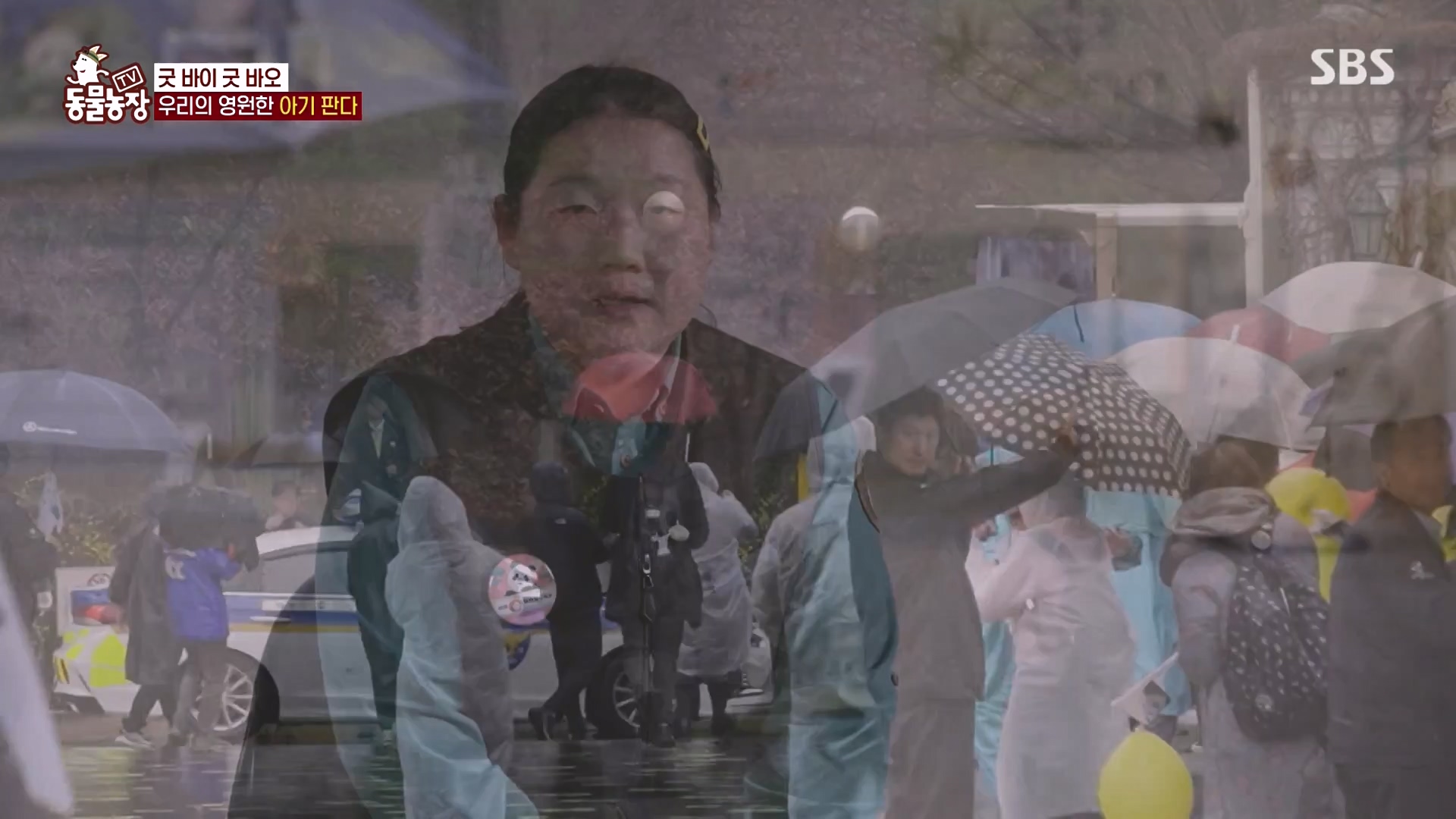 TV 동물농장.E1166.240407p-NEXT.mp4_20240407_164510.144.jpg