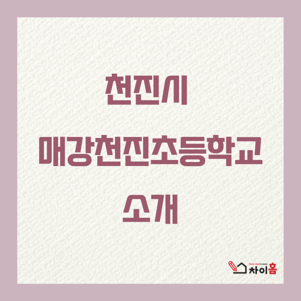 천진초등학교 이미지