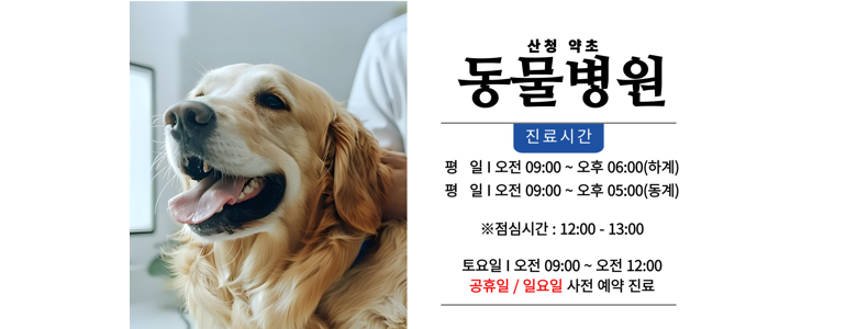 산청군 동물병원