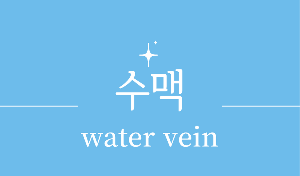 '수맥(water vein)'