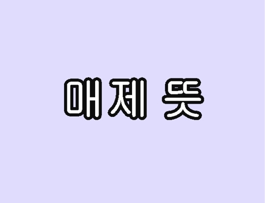 매제-뜻