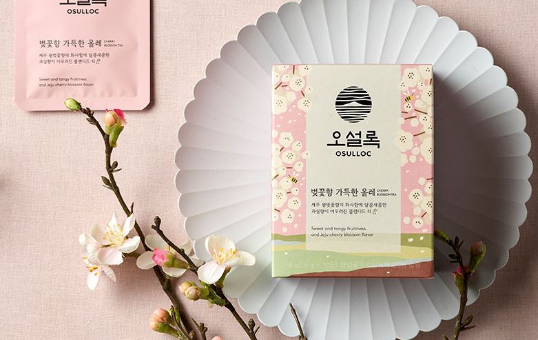  오설록_벚꽃향 가득한 올레
