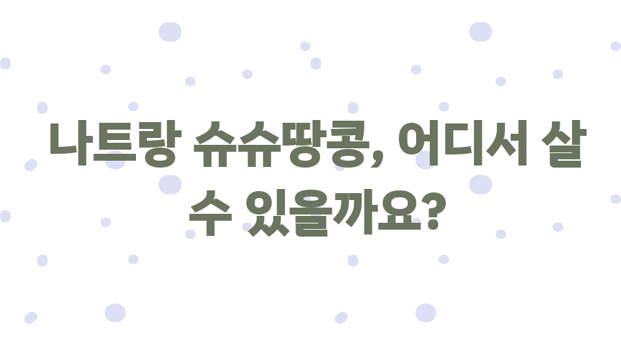 나트랑 슈슈땅콩 맛집탐험! 30가지 맛, 당신의 선택은? - 나트랑 슈슈땅콩, 어디서 살 수 있을까요? 나트랑 슈슈땅콩 맛집탐험! 30가지 맛, 당신의 선택은? - 나트랑 슈슈땅콩, 어디서 살 수 있을까요?