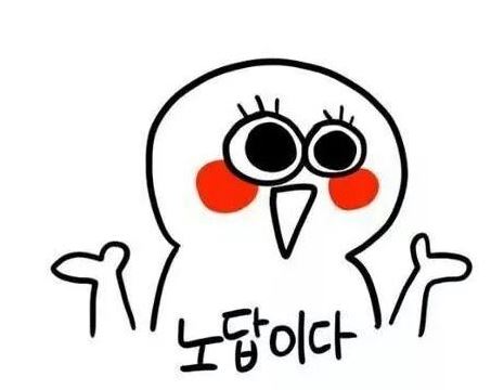 블루하와이 이미지