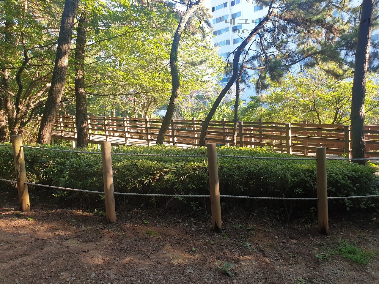 구름다리.