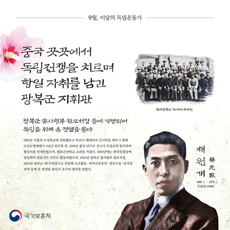 채원 이미지