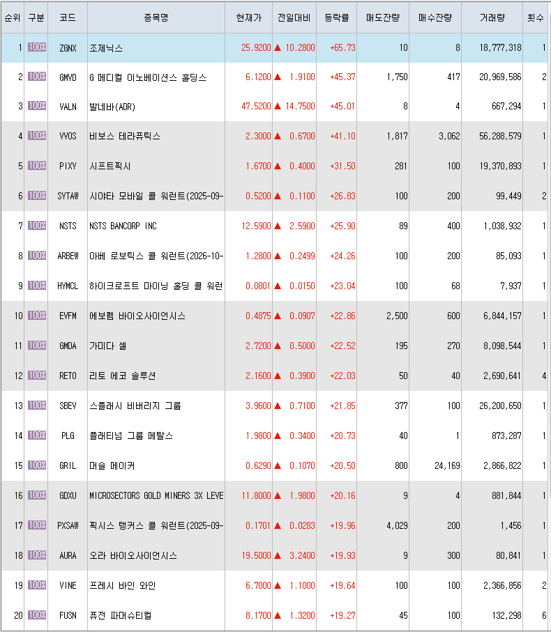  1월19일 미국주식 상승률 상위 종목 TOP 300