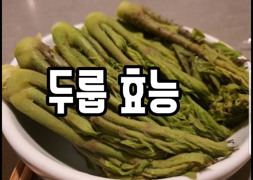  두릅효능알아보기