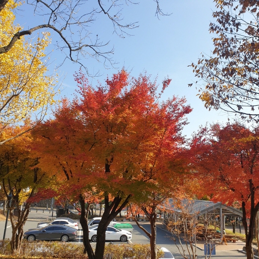 범어공원 가을과 여름