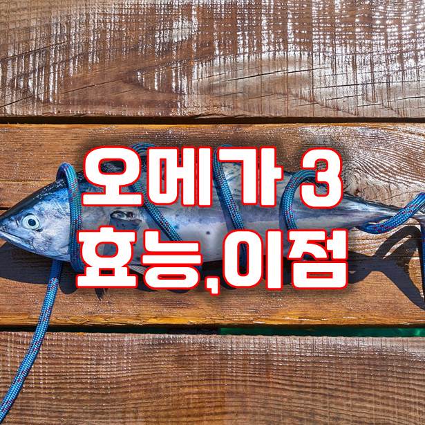  오메가 3 효능, 종류, 이점에 자세히 알아보세요