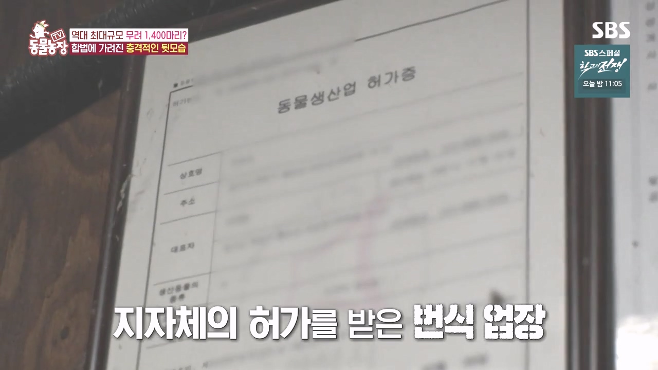 TV 동물농장.E1142.231023p-NEXT.mp4_20231022_171954.622.jpg