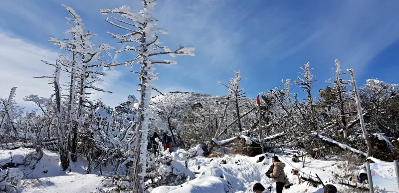 제주 한라산 설경 상고대