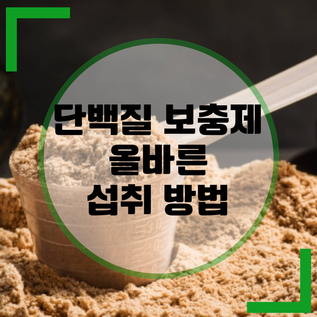 단백질 보충제 섭취 방법