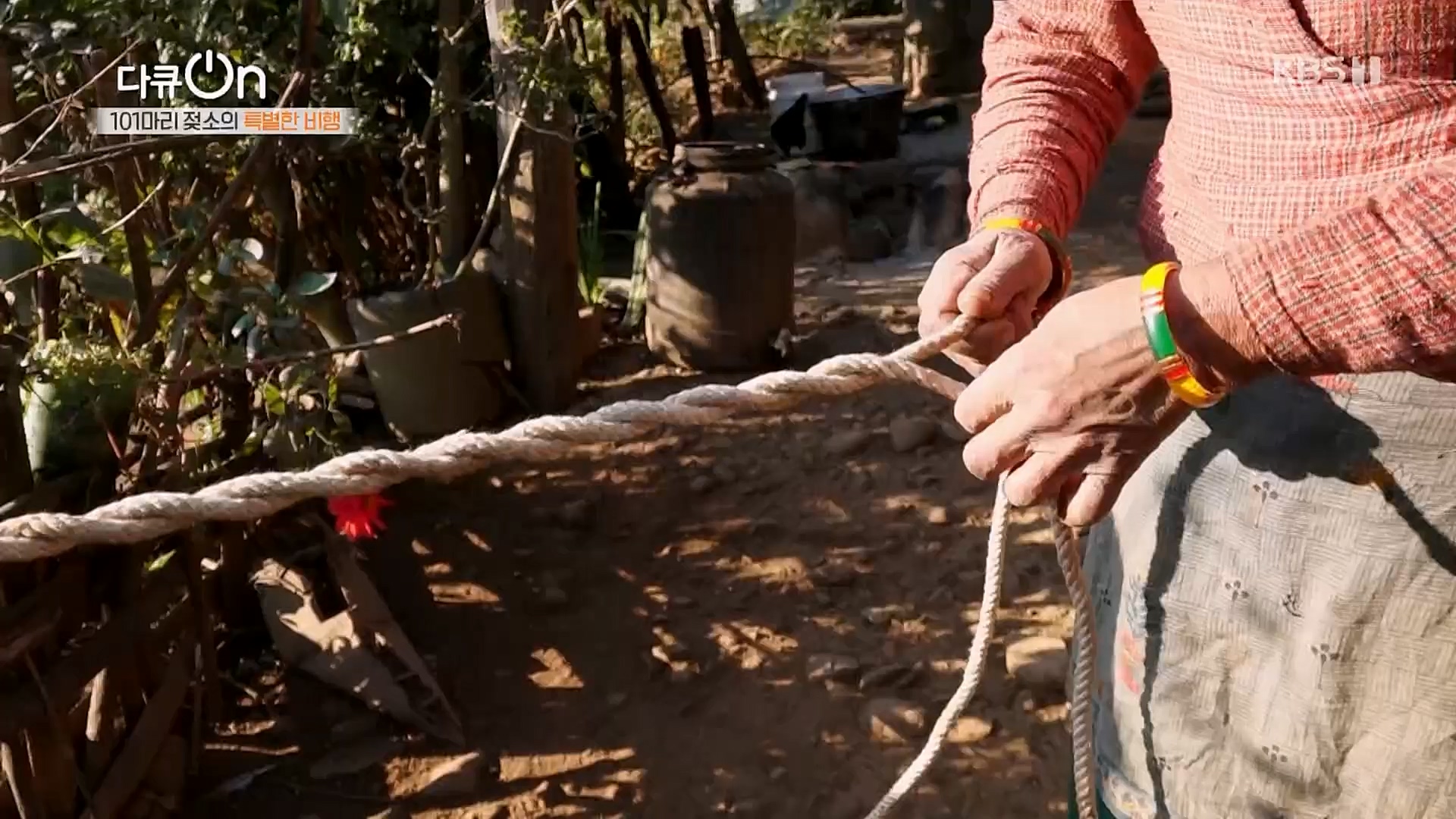 다큐 On.E184.230203p.H264-F1RST.mp4_20230211_175652.883.jpg