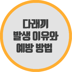  다래끼는 왜 발생하는 걸까? 이유와 관리 방법 알아보기
