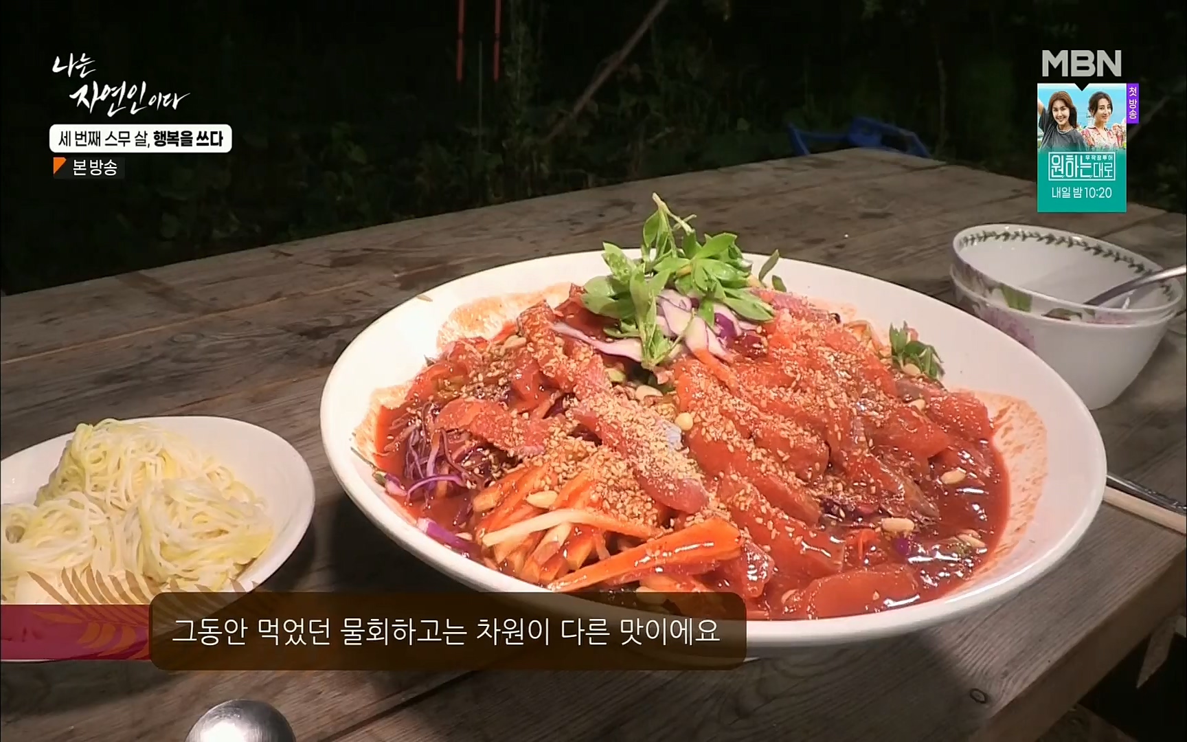 나는 자연인이다.E516.220824p.H264-F1RST.mp4_20220825_164145.987.jpg