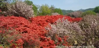 전주 완산칠봉 꽃동산 등산로 벙커 코스_4