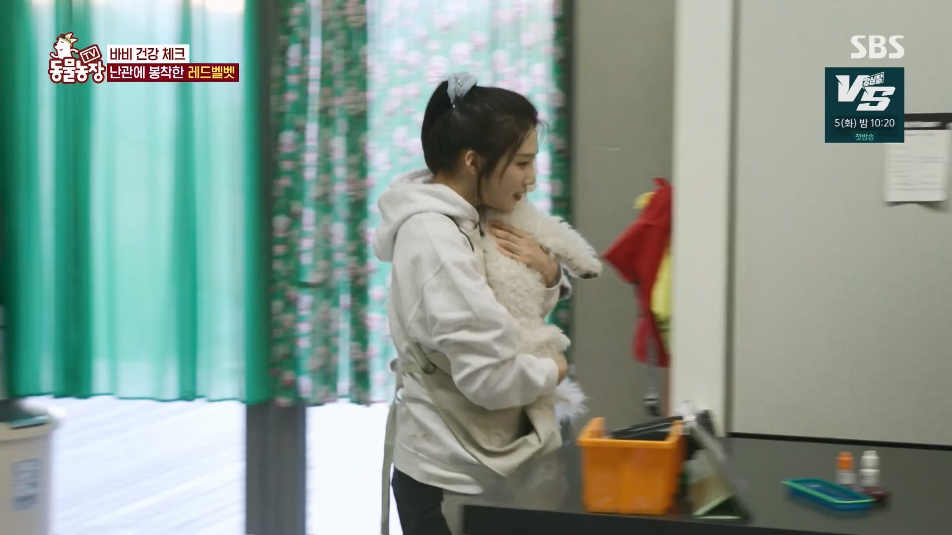 TV 동물농장.E1148.231203p.H264-F1RST.mp4_20231203_165838.616.jpg