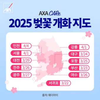 벚꽃 개화시기 2025년 지역별 모음_16