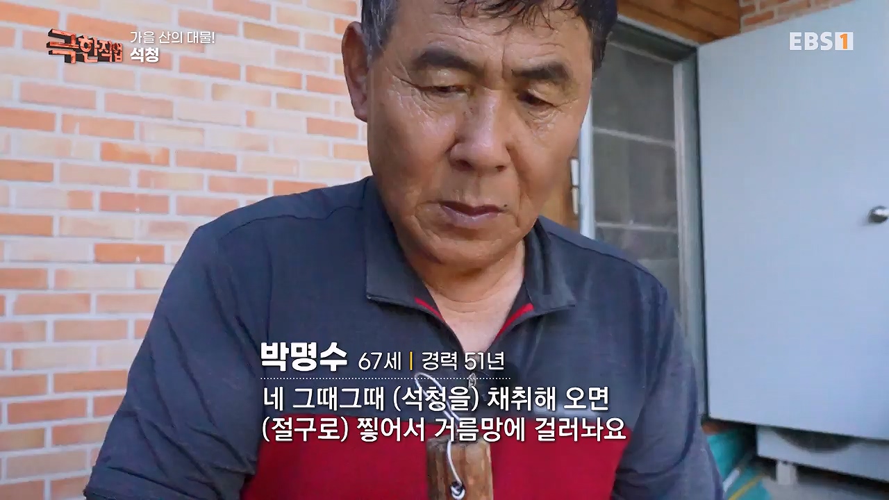 TV - 전 국민의 평생학교 EBS가을 산의 대물! 석청과 버섯.mp4_20230916_171654.990.jpg