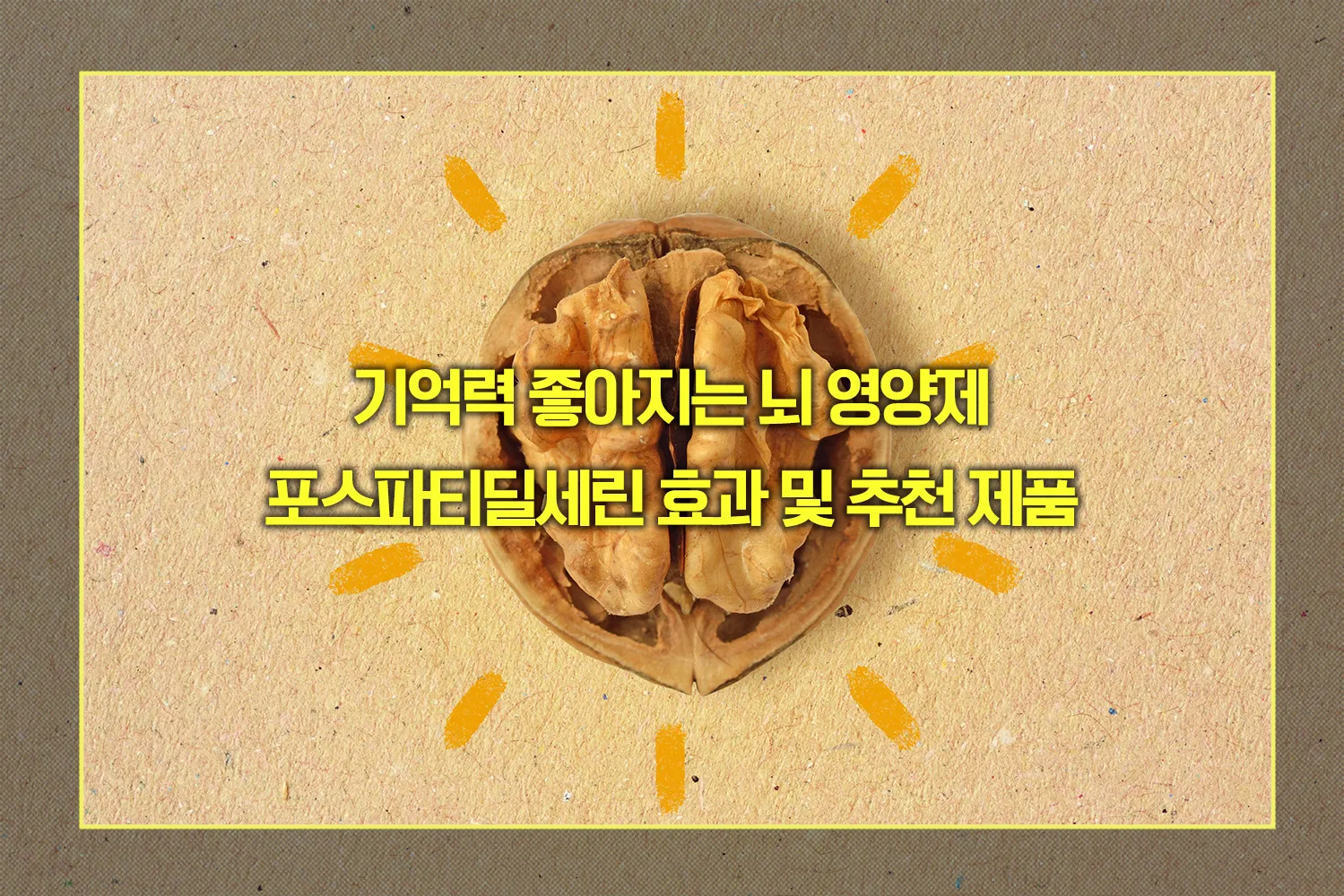 포스파티딜세린 효과 및 추천 제품