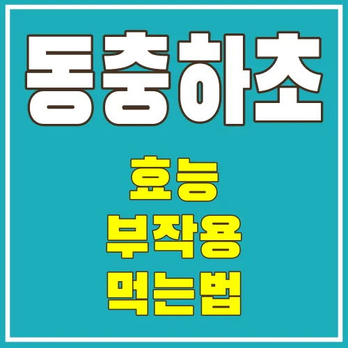 동충하초의 효능