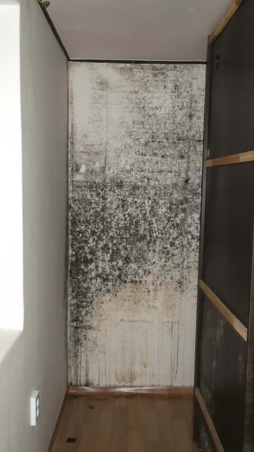  결로현상 곰팡이 문제로 인한 피해가 이 정도?