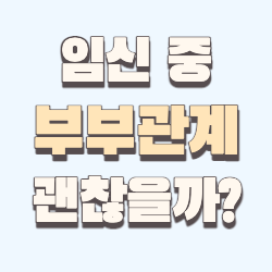 임신중 부부관계