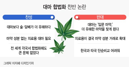  '대마초 입문 마약 설'은 100% 뇌피셜