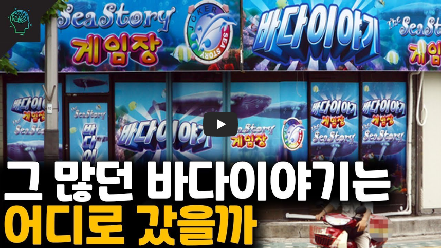  [역사 속 오늘]바다이야기 사건! '한국 뒤흔든 초유의 사행성게임, 왜 합법이었을까?'