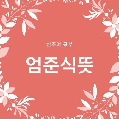  엄준식뜻 빌런뜻 네고뜻 총정리!