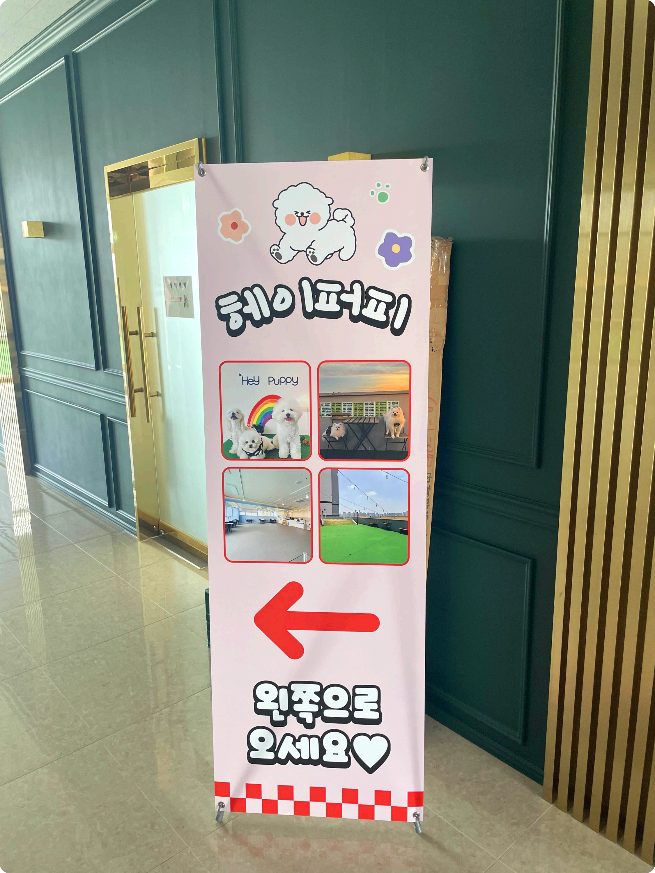 외관