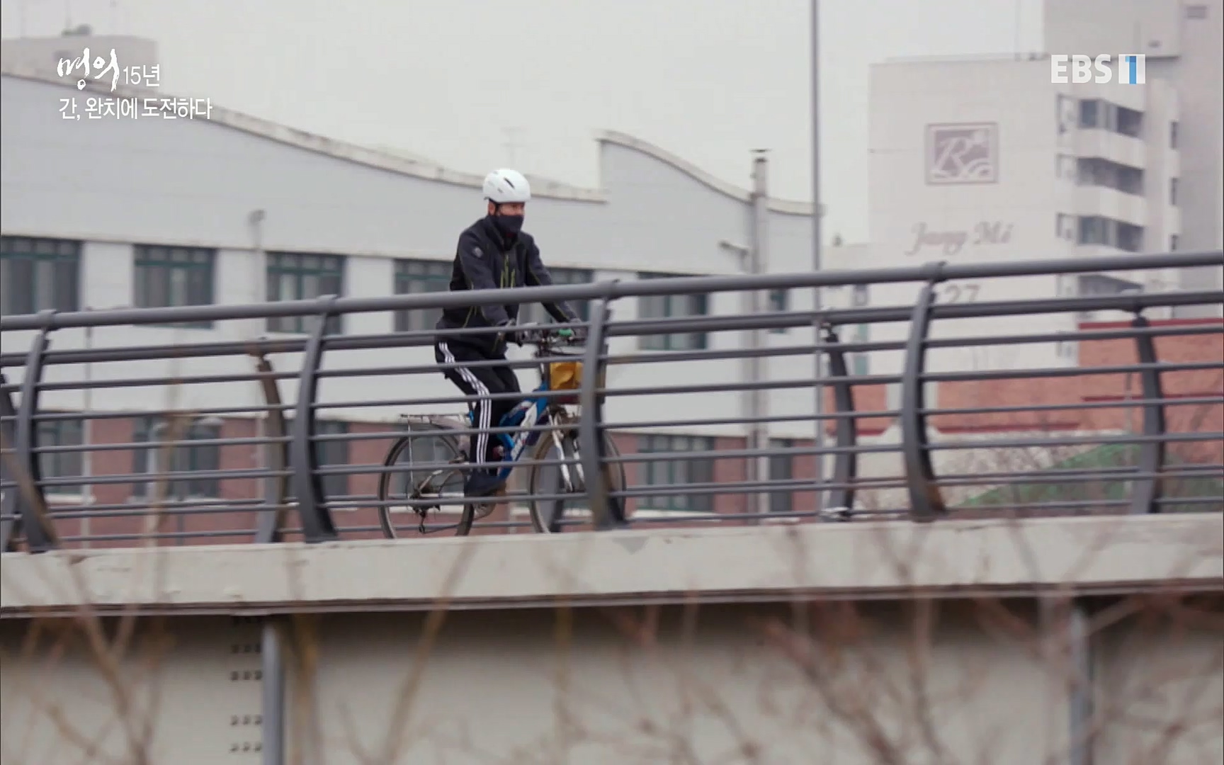 EBS 명의 헬스케어 - TV - 교육의 중심 EBS명의 15년 - 간, 완치에 도전하다.mp4_20220802_202431.994.jpg