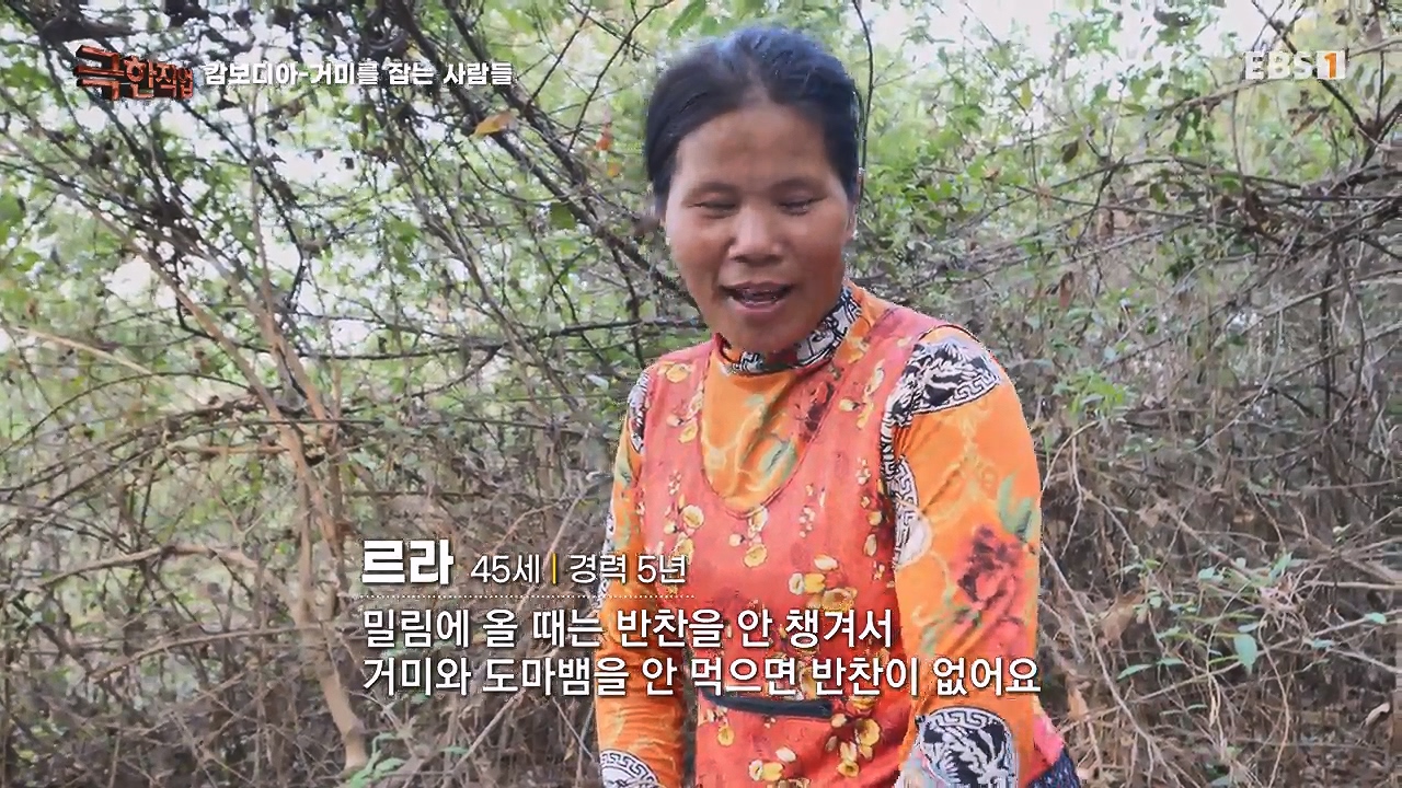 TV - 전 국민의 평생학교 EBS캄보디아 - 독충을 잡는 사람들.mp4_20230501_172624.712.jpg
