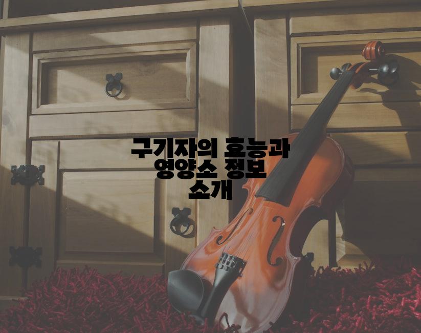 구기자의 효능과 영양소 정보 소개