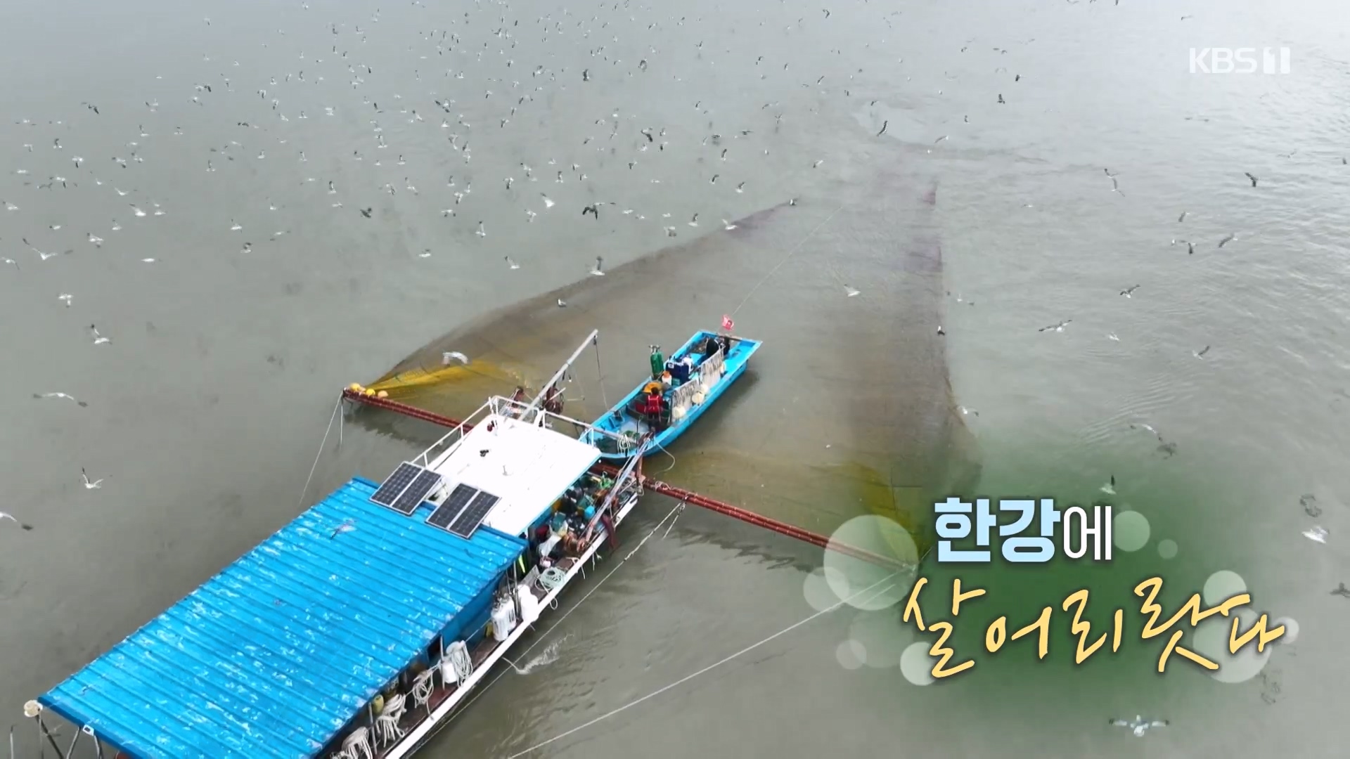 추석 특집 다큐 1부 - 한강에 살어리랏다.E01.230928p-NEXT.mp4_20230929_145725.334.jpg