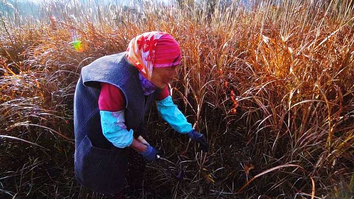 한국기행 산골밥집 200년된 억새집 도토리묵 토종닭백숙 흑돼지수육 시골 산골 밥상 전라북도 남원 지리산 둘레길 맛집 위치 찾아가는 방법