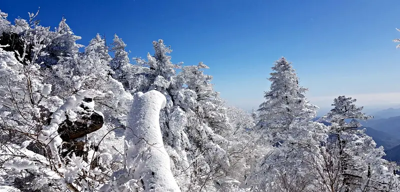 지리산 설경 상고대