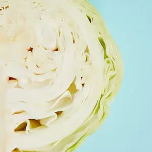 양배추-cabbage