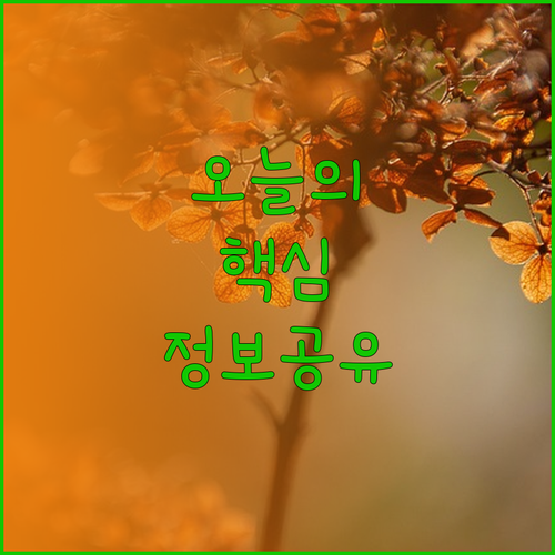다낭 호텔 추천! 하이 트리우, 사나