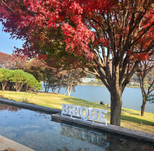 브리끄 카페