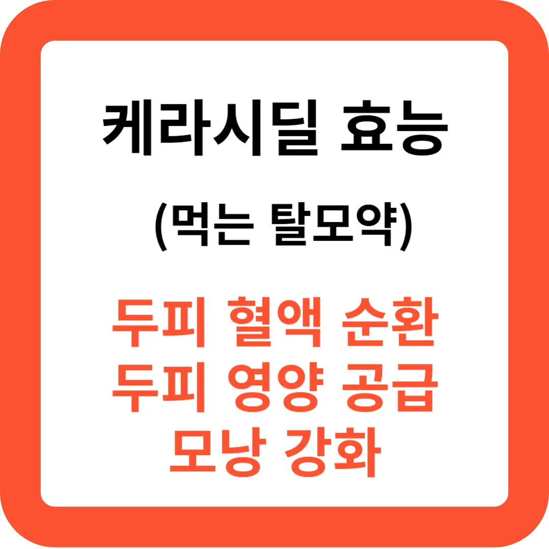 케라시딜-효능과-복용법-추천