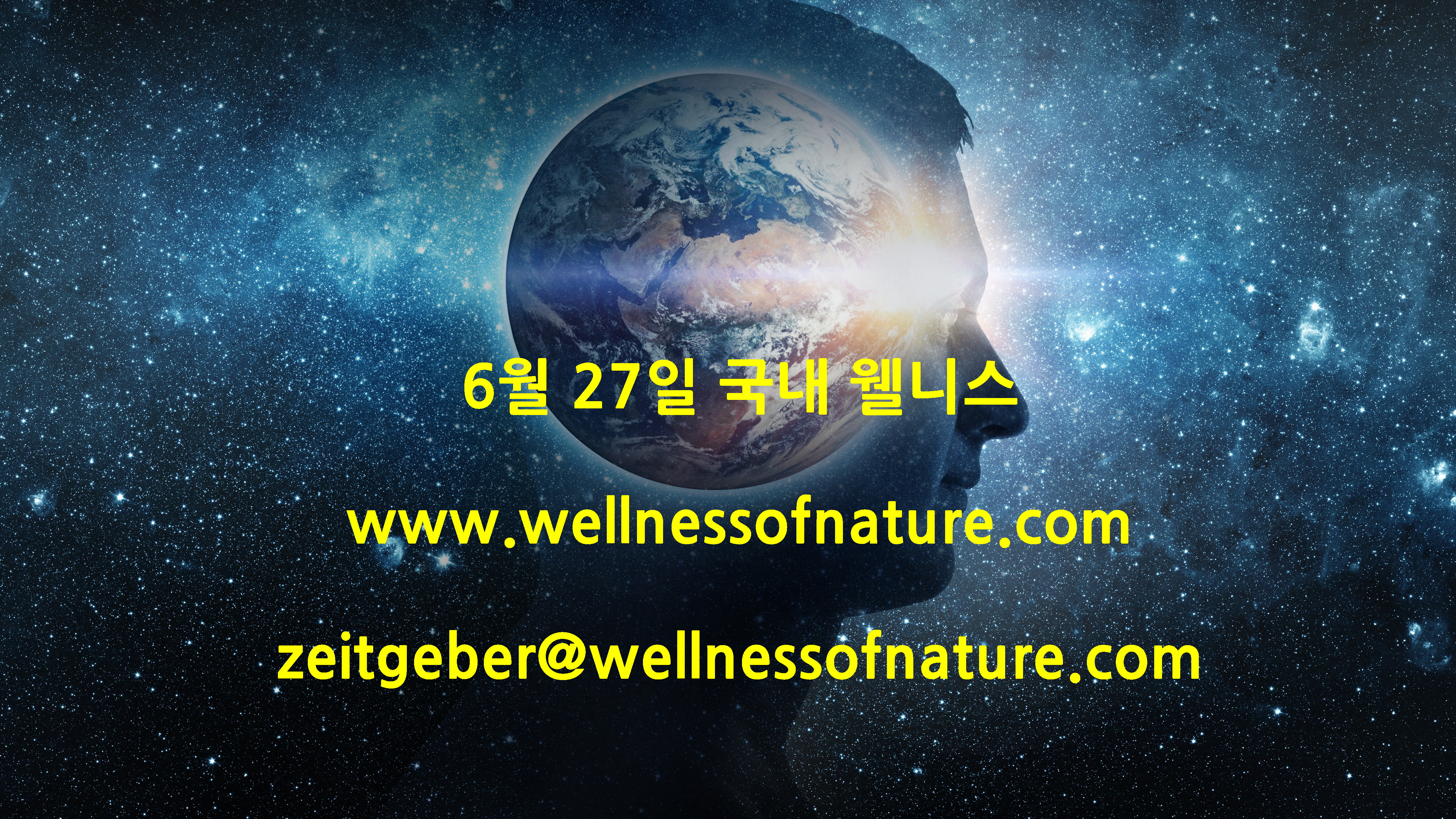 2024년 6월 27일 국내 웰니스 뉴스