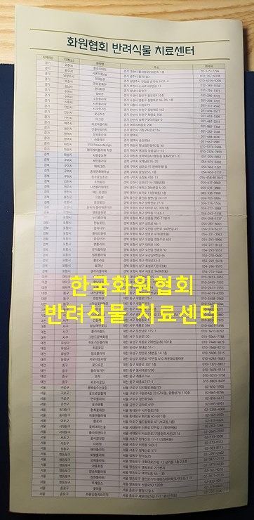 한국식물병원 이미지