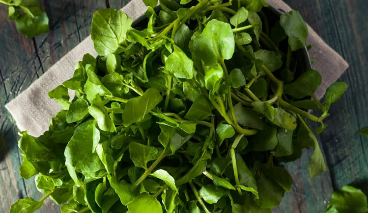 CDC가 선정한 지구상에서 가장 건강한 채소 CDC declares: This is the healthiest veggie on Earth
