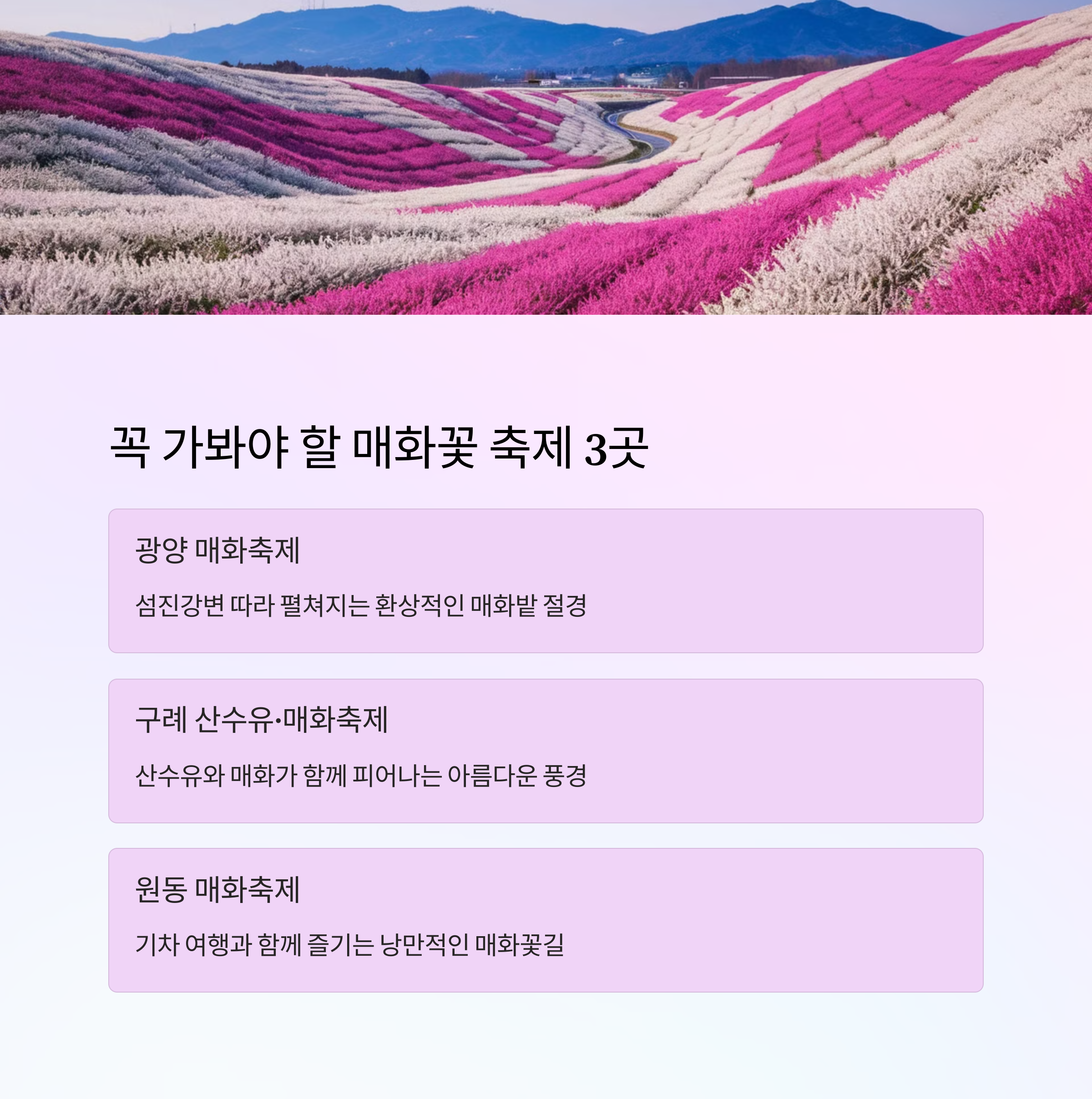 한국에서 꼭 가봐야 할 대표 매화꽃 축제