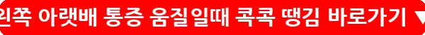 왼쪽 아랫배 통증 움질일때 콕콕 땡김_19