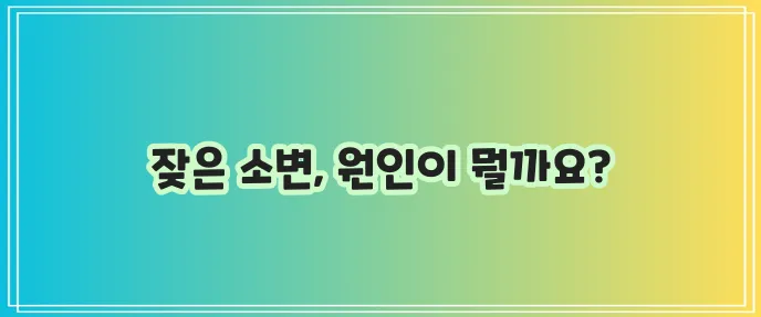 소변이 잦은 증상, 혹시 불편하신가요?